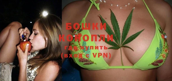 стаф Аркадак
