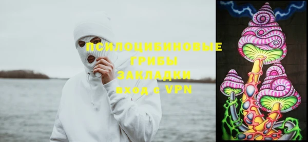бошки Армянск