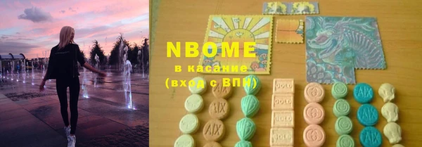 стаф Аркадак