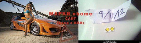 стаф Аркадак