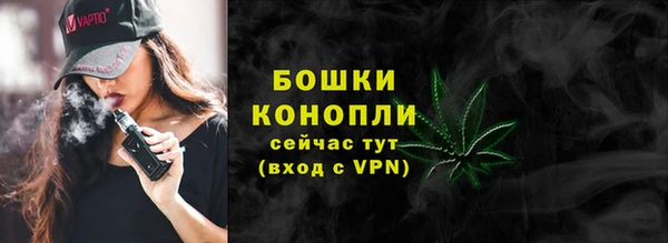 стаф Аркадак