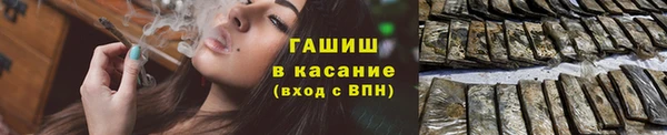 стаф Аркадак