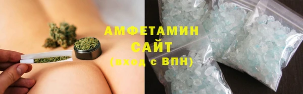 стаф Аркадак