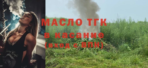 стаф Аркадак