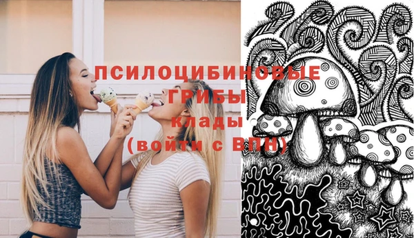 стаф Аркадак