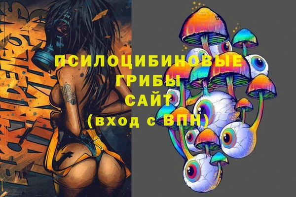 бошки Армянск
